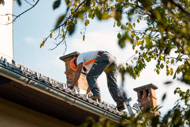 Best Metal Roofing Contractor  in Hayfork, CA