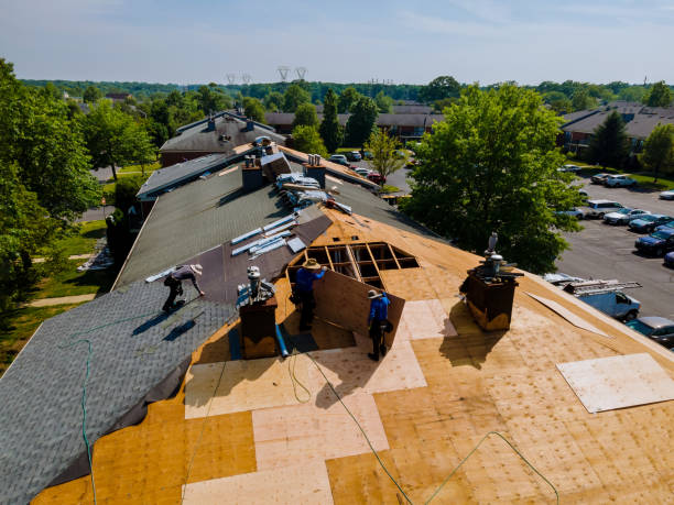 Best Flat Roof Repair Services  in Hayfork, CA
