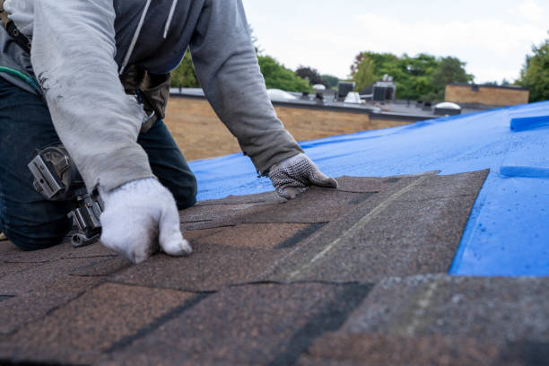 Best Sealant for Roof  in Hayfork, CA