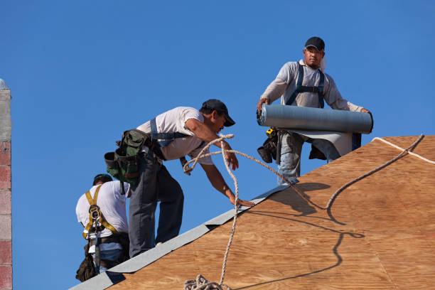 Best Emergency Roof Repair  in Hayfork, CA