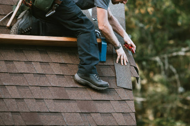 Best Storm Damage Roof Repair  in Hayfork, CA
